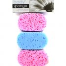 Body Sponge Set