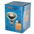 Compact Fluorescent Light Bulb