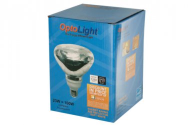 Compact Fluorescent Light Bulb