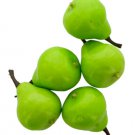 Miniature Craft Fruit