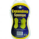 Expanding Sponge