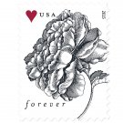 New USPS First Class Postage Forever Rose Stamps 1 PC