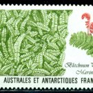 Stamp TAAF/French Antarctic 1989 Plant, Alpine water fern waterweed cabbage BOOK