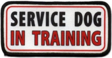SERVICE DOG "IN TRAINING" EMBROIDERED VELCRO PATCHES