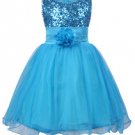 Little Girls' Sequin Mesh Flower Ball Gown Party Dress Tulle Prom Blue