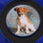 NEW - Jack Russell Decoupage Plate Limited Edition