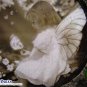 NEW Collectable Woodland Fairy Decoupage Plate LE