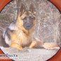 NEW Brown German Shepherd Collectable Decoupage Plate LE