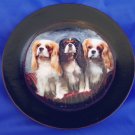 Cavalier King Charles Spaniel Decoupage Plate LE