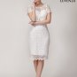 Retro Backless Floral Lace Knee Length Sheath Dress with Scallop Lace Trim