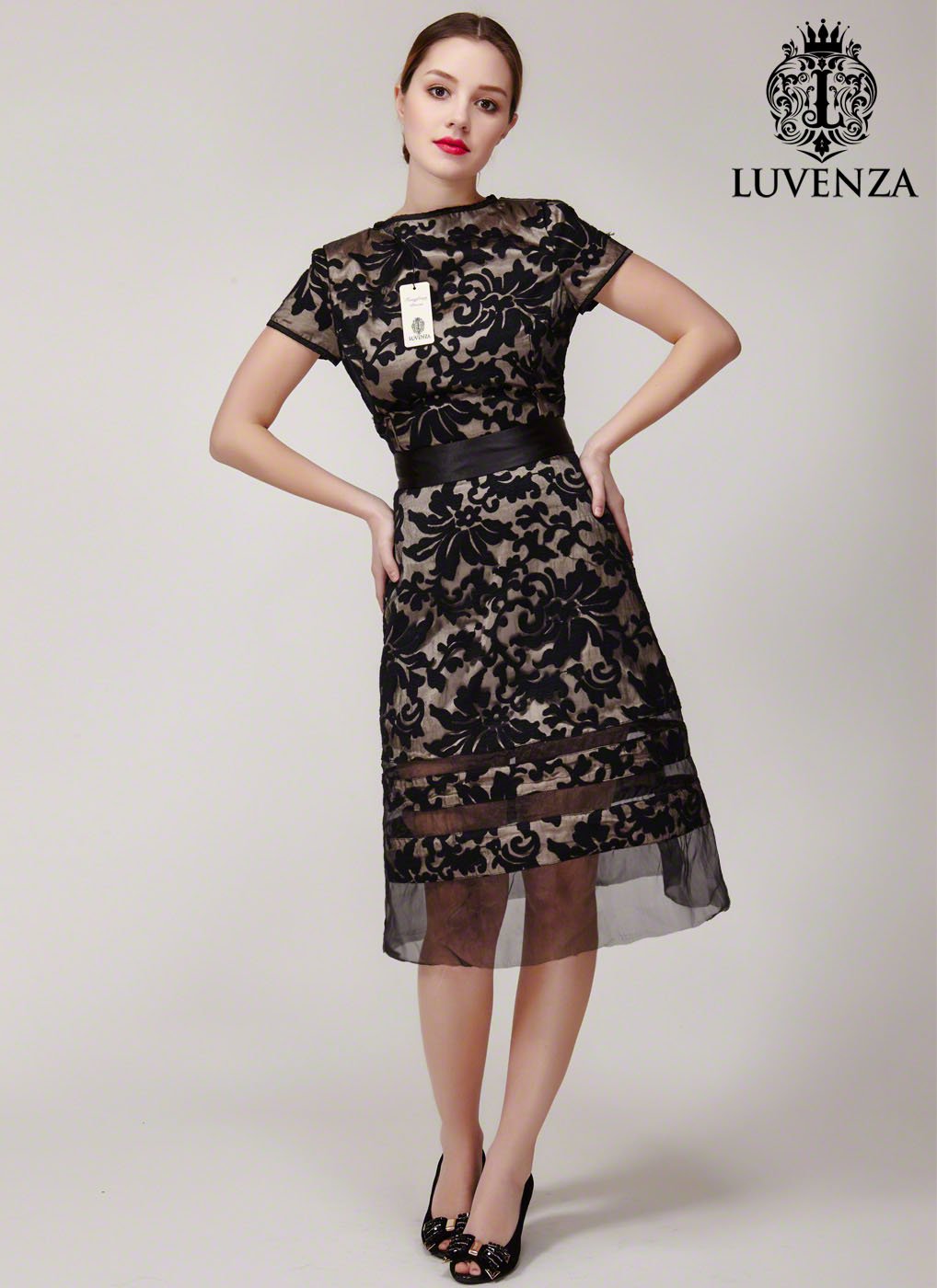 Black Organza Lace Aline Mini Dress with Nude Lining