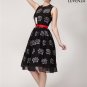 Black Fit and Flare Dress Silk Embroidered Lace Mini Dress