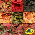 HERONS Premium Tropical Fish Food Flakes SPIRULINA MALAWI GOLDFISH COLOUR FLAKE