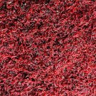 Live Bloodworm (Small Size)