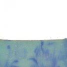 CARIBBEAN ESCAPE HOMEMADE HANDMADE Goat Milk Bar Soap SUMMER COMPARES Slatkin