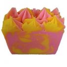 DAISY FLOWER SCENT (6 BARS) HANDMADE Bar Soap FRESH  Goat Milk Honey NEON COLORS
