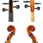 1734 Stradivarius Violin 4/4 Replica 18 Years Old European Spruce Handmade Oil Varnish