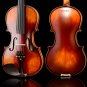 Italy Christina Violin beginner Maple Antique matt High-grade Handmade acoustic