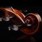 Italy Christina Violin beginner Maple Antique matt High-grade Handmade acoustic