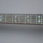 Taylor 916ce Acoustic Electric Guitar Replica Rosewood Luxurious Class - Free Shipping