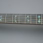 Taylor 916ce Guitar Reproduction Natural Blond