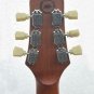 Peavey Jack Daniel's Guitar Reproduction