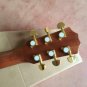Taylor PS14c Special Edition Guitar Reproduction Natural Color