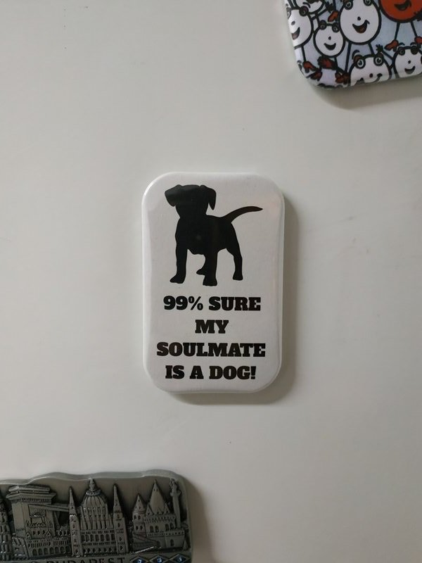 99% Sure My Soulmate Is A Dog Fridge Magnet (poster, print, refrigerator)