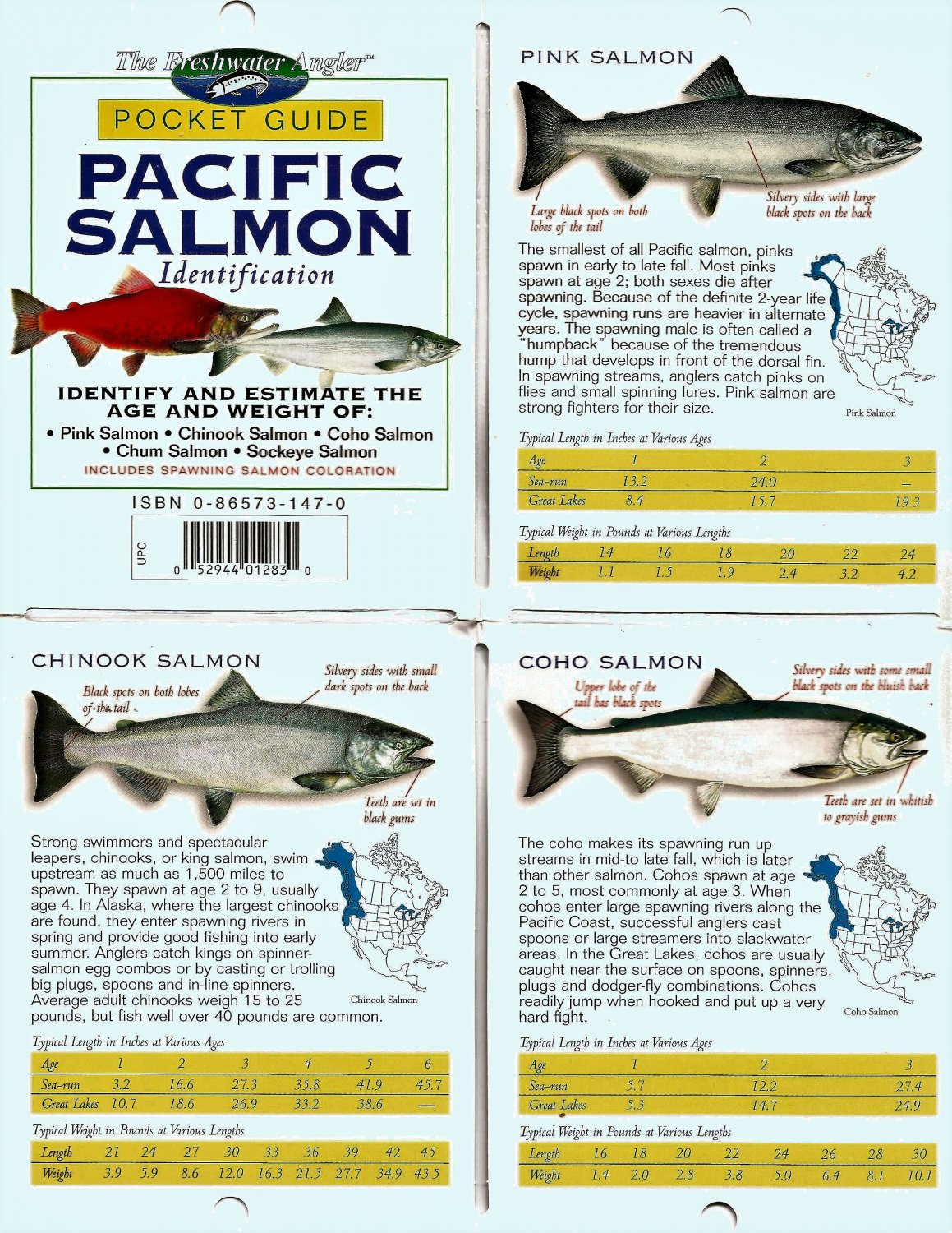 The Freshwater Angler© Pocket GuidePacific Salmon Identification