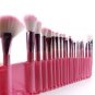 22pcs Superior Professional Soft Cosmetic Makeup Brush Set Pink + Pouch Bag Case
