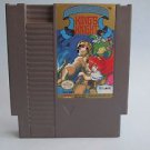King's Knight (Nintendo Entertainment System, 1989)