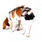 PABS Deley Her Spay Harness (Small)
