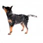 PABS Deley Her Spay Harness (Medium)
