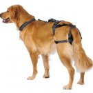 PABS Deley Her Spay Harness (XX-Large)