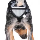 PABS Deley Her Spay Harness (Medium)