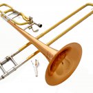 NEW 2017 Bb/F POSAUNE TRIGGER TROMBONE, GOLD-LACQUER, LARGE BELL, PRO-GRADE