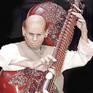 PRO RUDRA VEENA BEEN. SUPERB CALCUTTA DRAGON-HEAD BEAUTY w GIANT RESONATORS