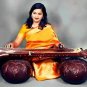 RARE PRO-GRADE CALCUTTA VICHITRA VEENA w ULTRA-LARGE RESONATORS