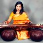 RARE PRO-GRADE CALCUTTA VICHITRA VEENA w ULTRA-LARGE RESONATORS