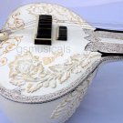 SITAR GOLDEN LEAF WITH FIBERGLASS CASE GSM063