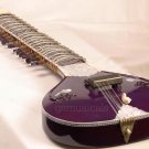 SITAR ULTRA PRO ELECTRIC WITH FIBREGLASS CASE GSM020