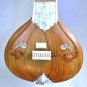 SITAR FUSION GRAINY STUDIO ELECTRIC GSM060#GS#