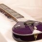 SITAR ULTRA PRO ELECTRIC STUDIO FUSION WITH FIBERGLASSCASE G CA