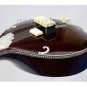 STUDIO SITAR ULTRA NATURAL WITH FIBERGLASS CASE GSM068