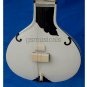 SITAR FUSION  STUDIO WITH FIBERGLASS CASE GSM036 GH34