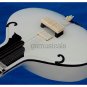 SITAR FUSION  STUDIO WITH FIBERGLASS CASE GSM036 GH34