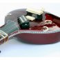 SITAR PACO RED FUSION TRAVEL WITH FIBERGLASS CASE GSM019