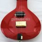 ZITAR FUSION SITAR NILADRI KUMAR STYLE WITH FIBERGLASS CASE GSM064