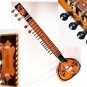 SITAR TAJ STANDARD SITAR WITH FIBREGLASS CASE GSM008 CA