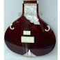 STUDIO SITAR ULTRA NATURAL WITH FIBERGLASS CASE GSM068 CA